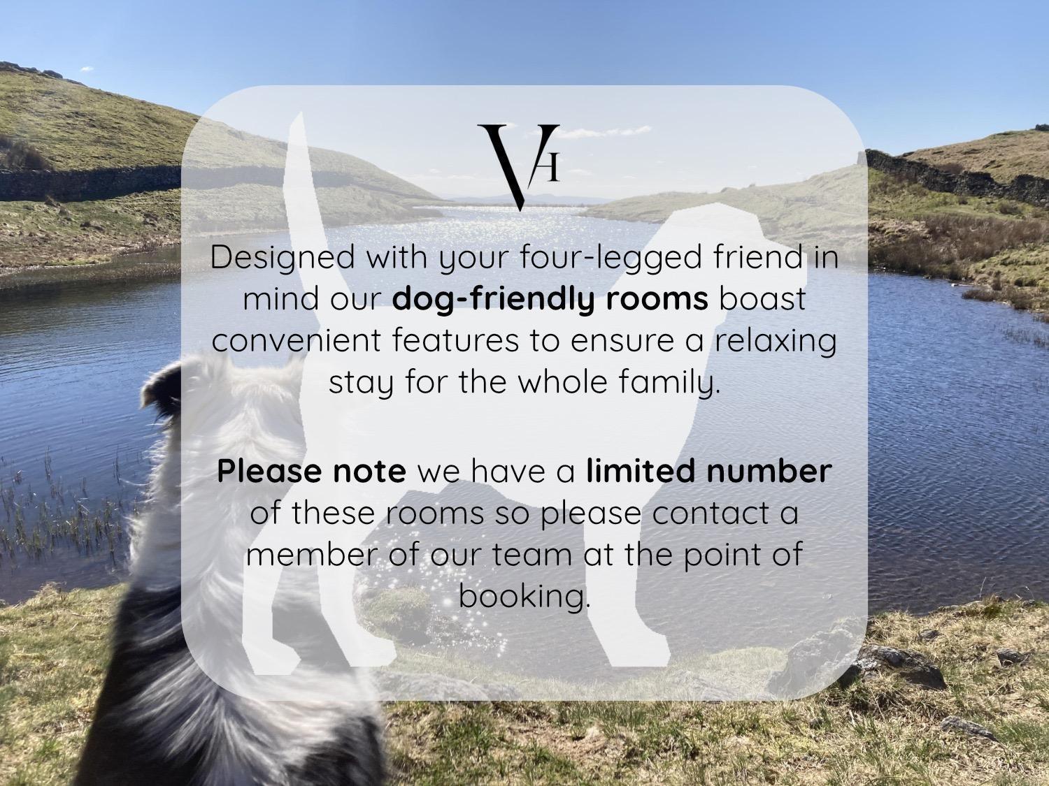 Dog Friendly Double